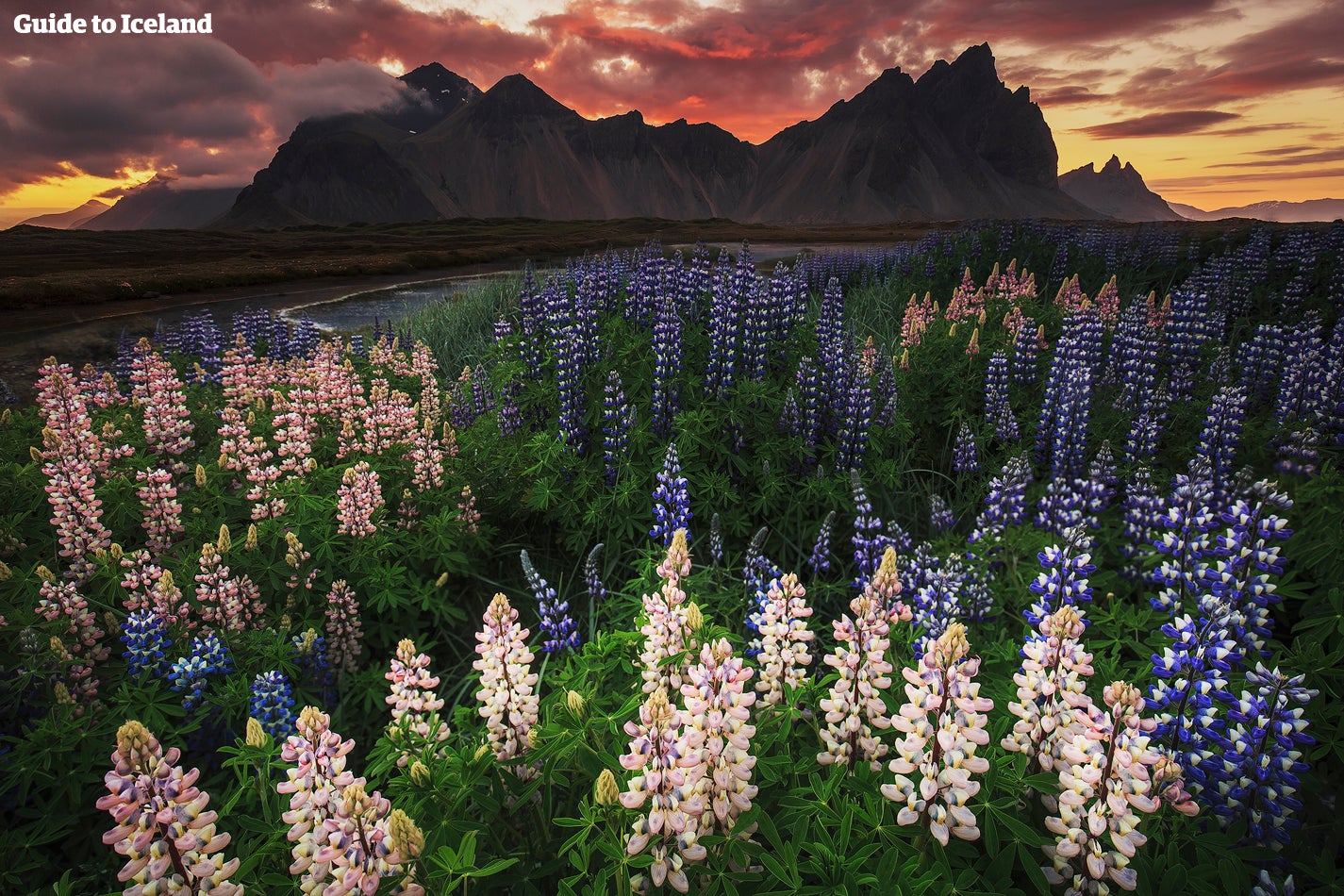 Fjellet Vestrahorn, omgitt av lyset fra midnattssolen.