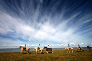 Clásico Tour 11 Horas Golden Circle y Paseo a Caballo con Audioguía y Traslado desde Reikiavik