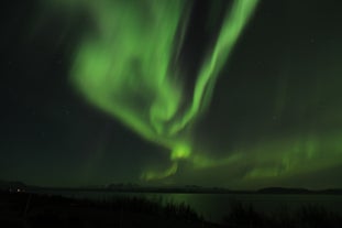 Die Aurora tanzt am Himmel, nicht weit von Reykjavík, Island.