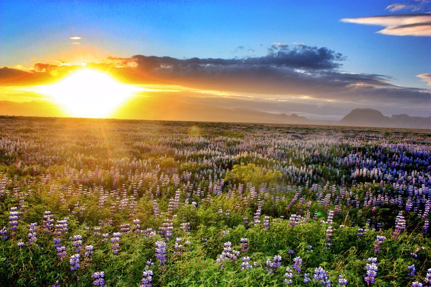 Skaftafell - A Hiker's Paradise