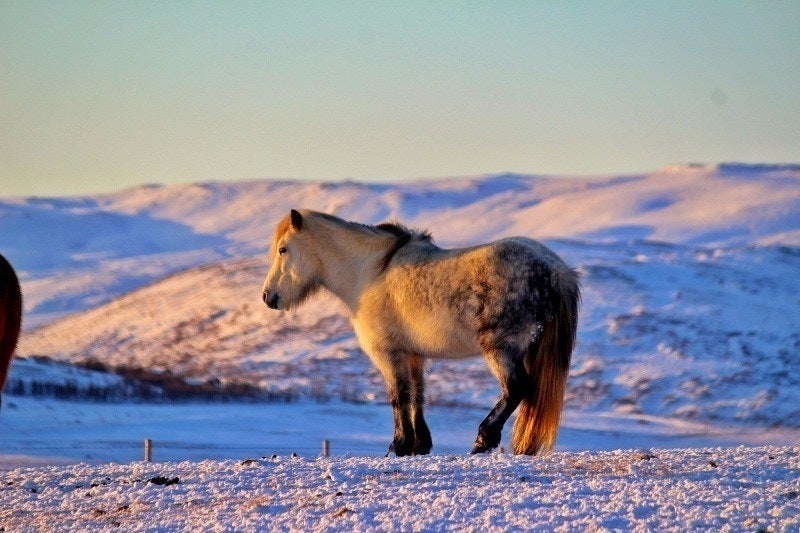 Iceland in winter