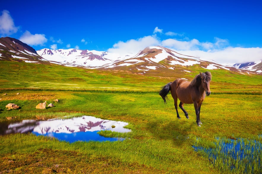 Le meilleur itinéraire à suivre en Islande