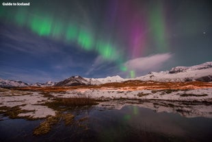 Das Nordlicht tanzt am Himmel über Island im Winter.