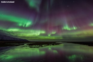 Das Nordlicht leuchtet im Winter in Island am Himmel.