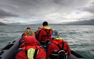 Met RIB-boten kun je veel intiemere ervaringen opdoen met de walvissen en vogels van de Eyjafjördur.