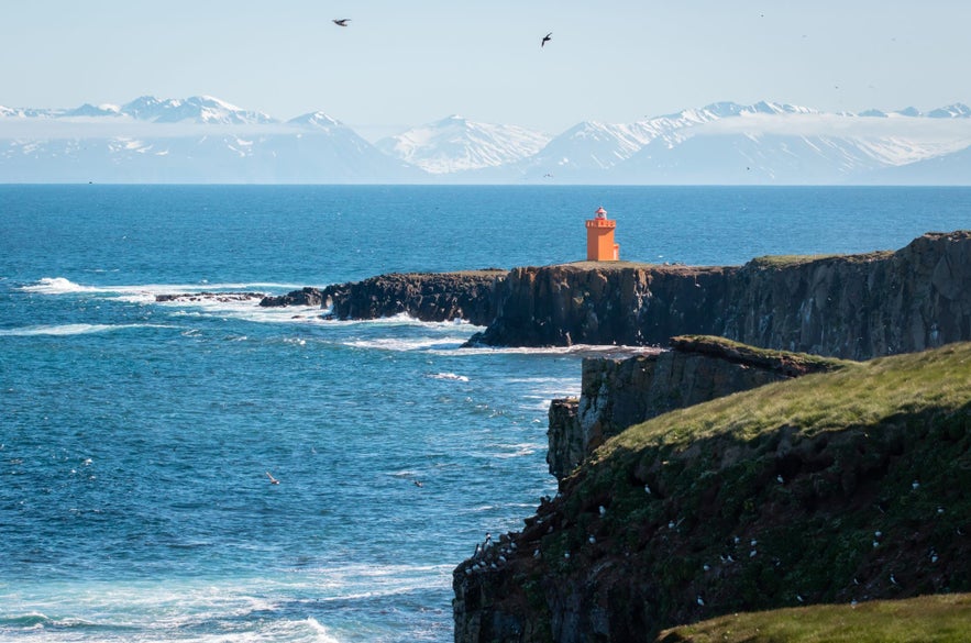 Grimsey island is a wonderful place to visit in North Iceland