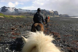 A group of horse riders exploring the black sand beaches of South Coast.