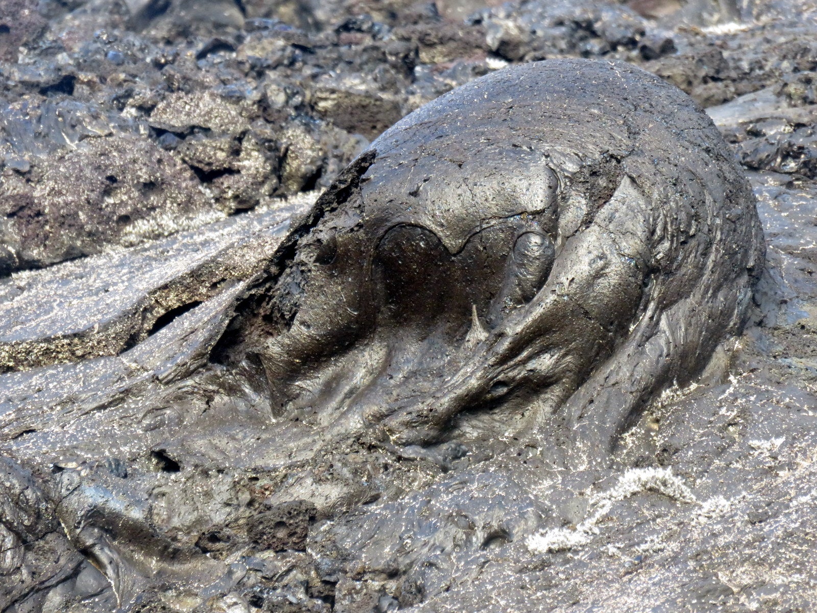 A Unique Lava Walk through the Colourful Lava Field at Gjástykki at Krafla in North-Iceland