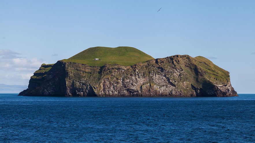 Bjarnarey is an unpopulated island in the Westman Islands, in South Iceland.