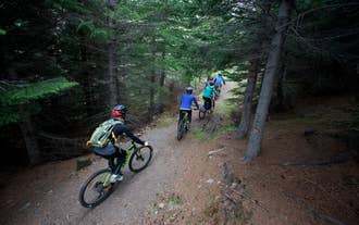 Un groupe de cyclistes traverse les forêts des Fjords de l’Ouest.