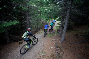 Un groupe de cyclistes traverse les forêts des fjords de l’Ouest.