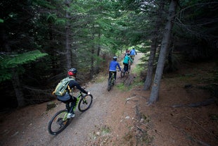 Een fietsgroep trekt door de bossen van de Westfjorden.