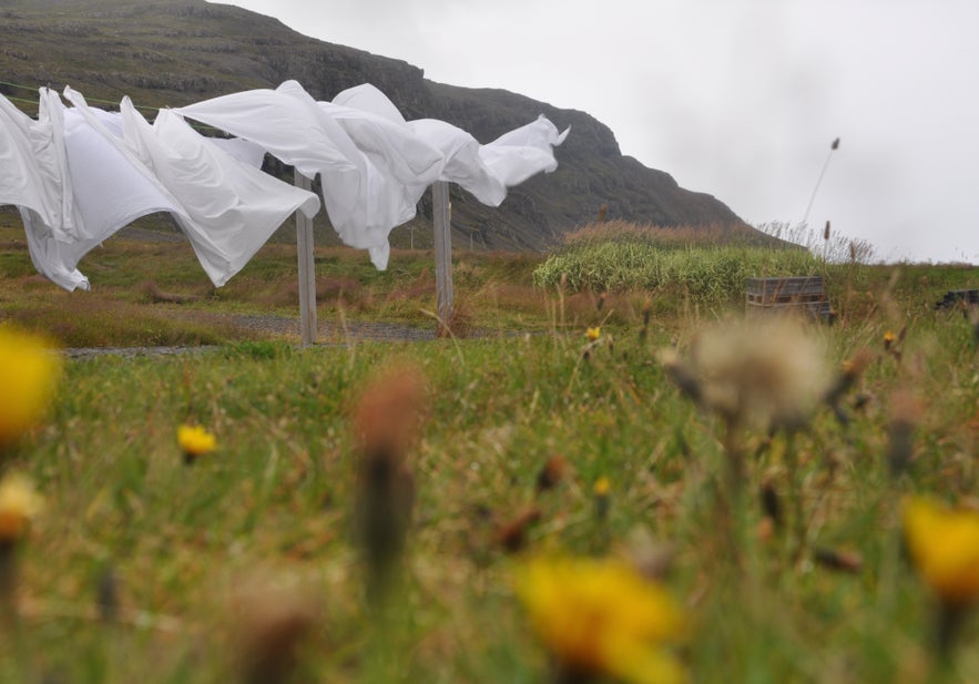 Windy and cloudy day in East Iceland