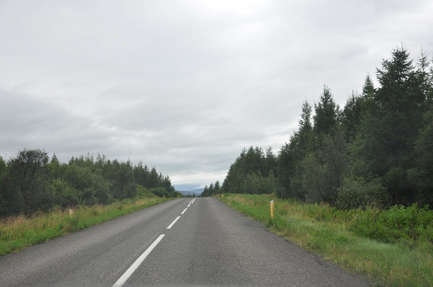 Driving through Hallormsstaðaskógur forest