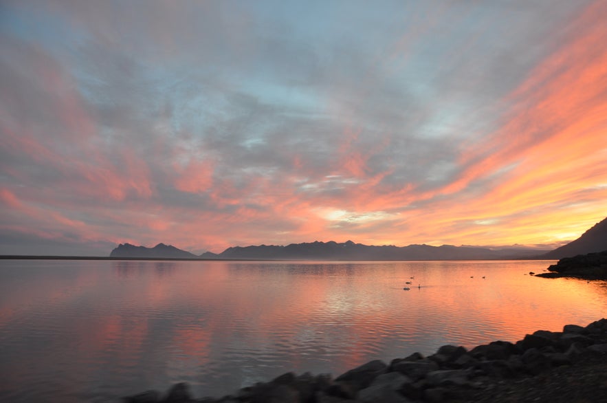 Sunset and swans in East Iceland