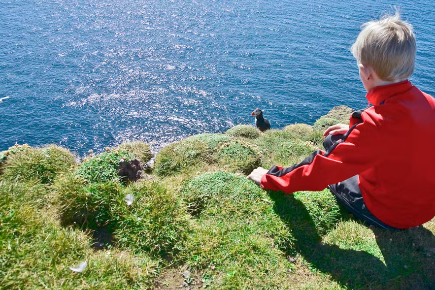 Latrabjarg is one of the best places in the world for bird watching