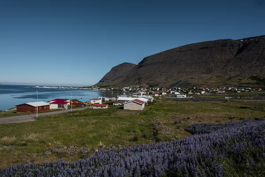 Patreksfjordur is one of the biggest towns in the Westfjords.