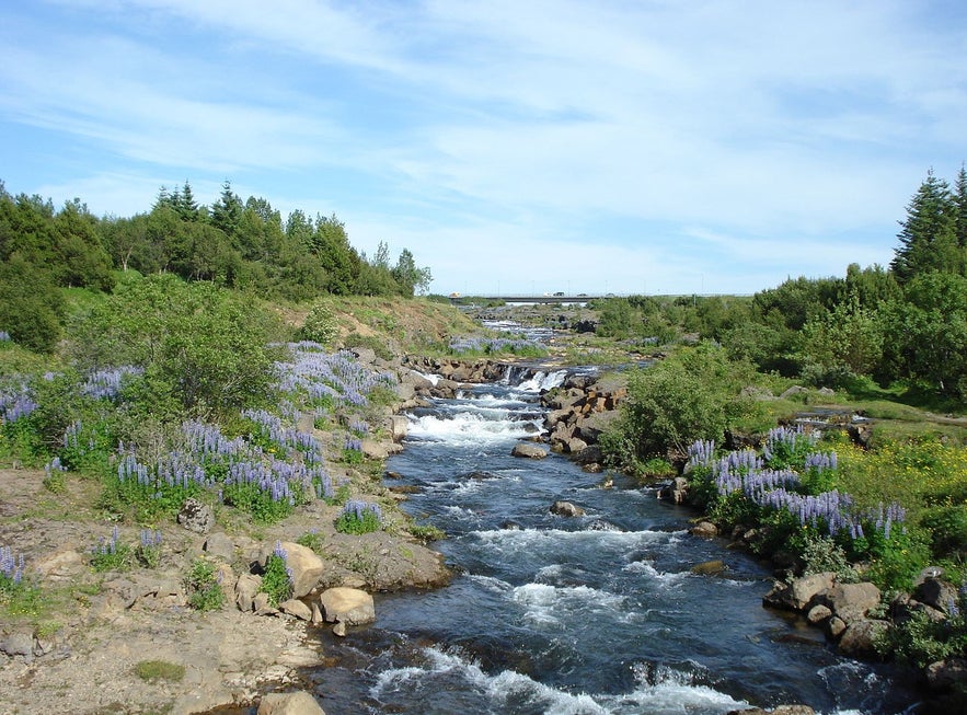 Ellidaardalur is a lovely place for outdoor activities