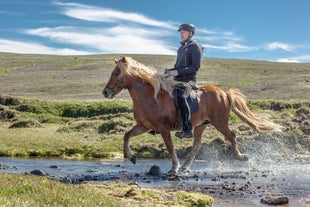 A person rides a horse on a tour in Iceland.