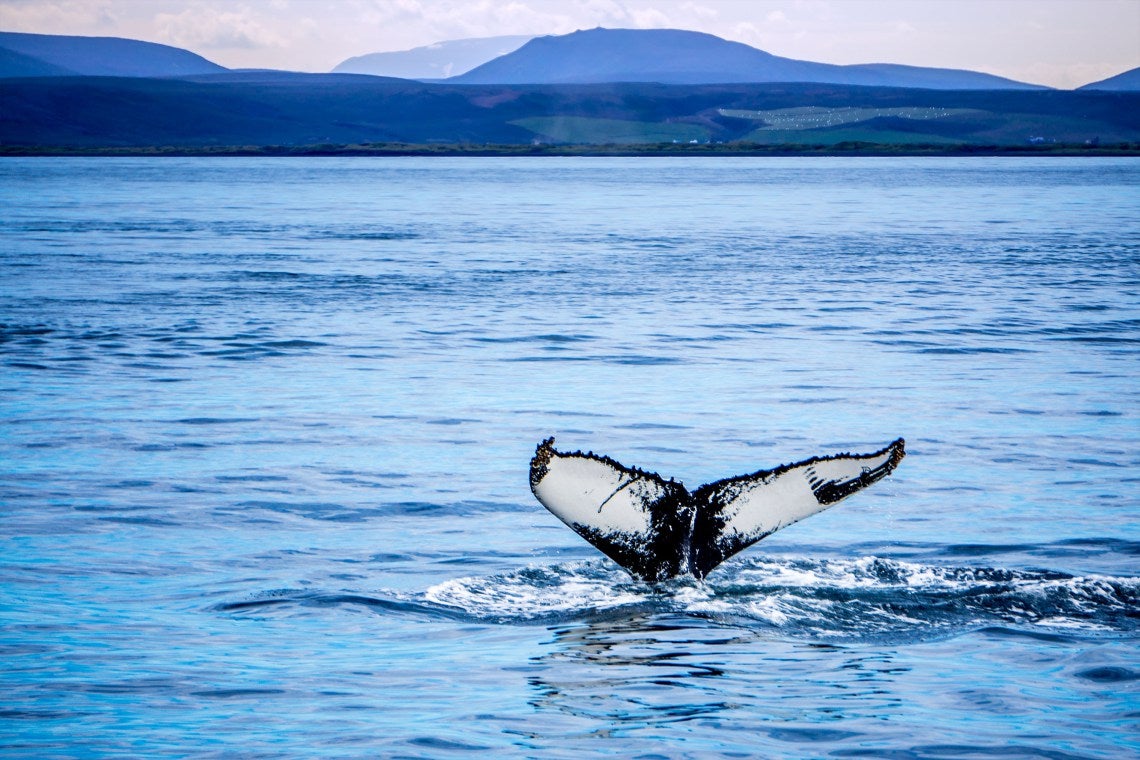 Ringroad Selfdrive Tour - 5th Day - In 8 Days around the Island