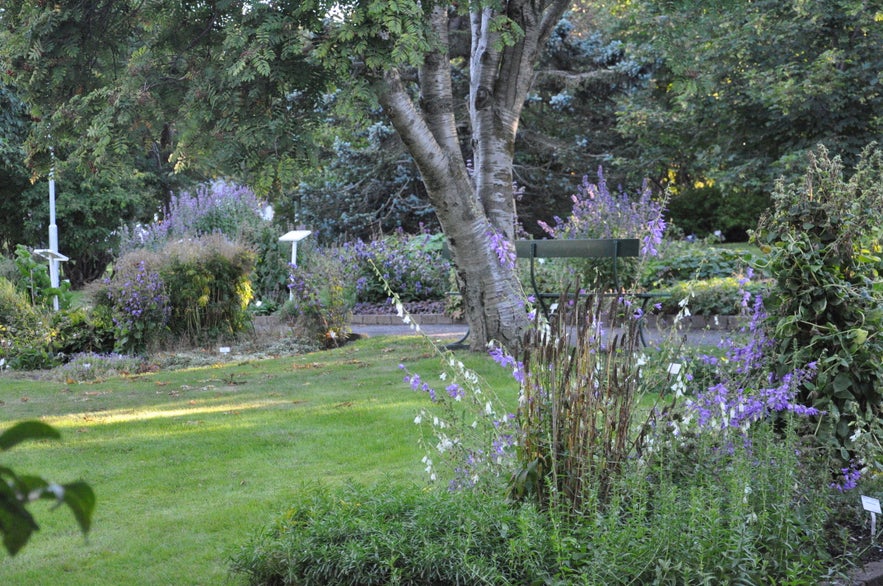 Botanical garden in Akureyri