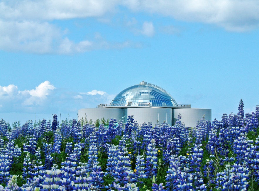 Do a marriage proposal with a view in Iceland