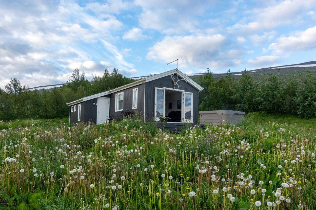 바이킹 코티지 & 아파트먼트(Viking Cottages & Apartments)