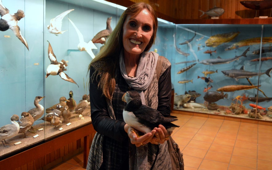 Regína holding a puffin at Sæheimar museum