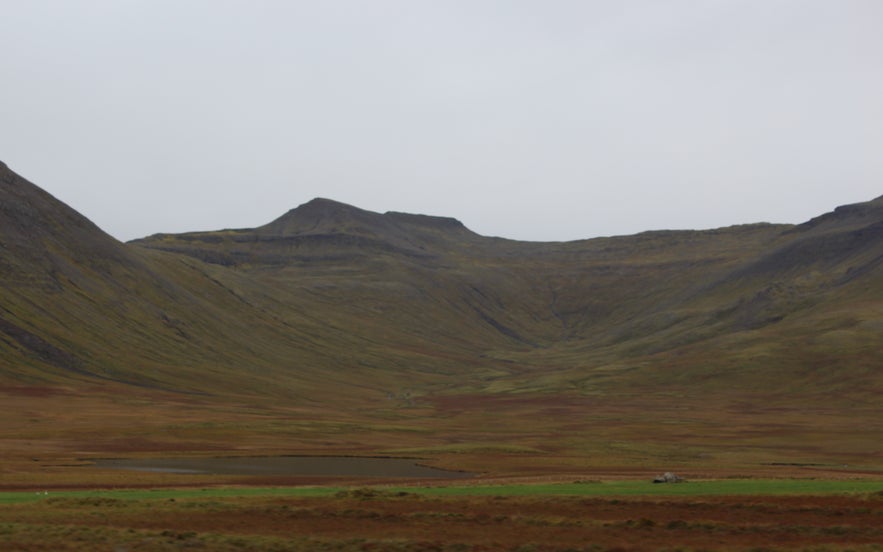 Gathering Sheep in Árneshreppur