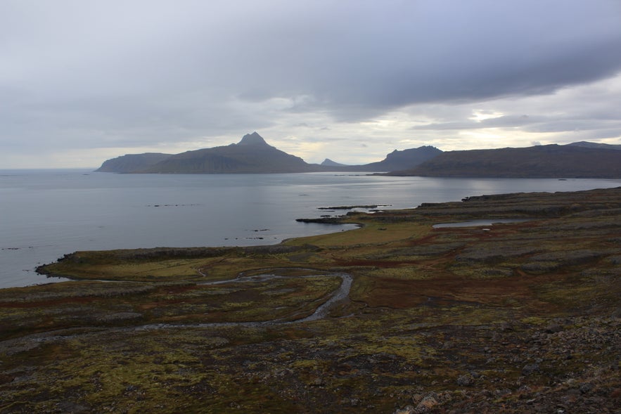 Gathering Sheep in Árneshreppur