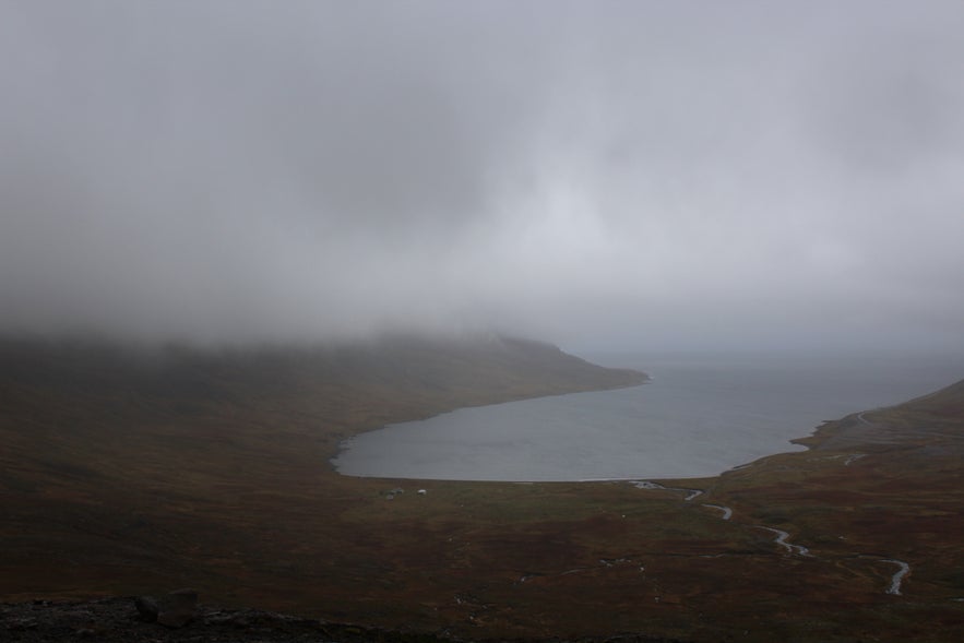 Gathering Sheep in Árneshreppur