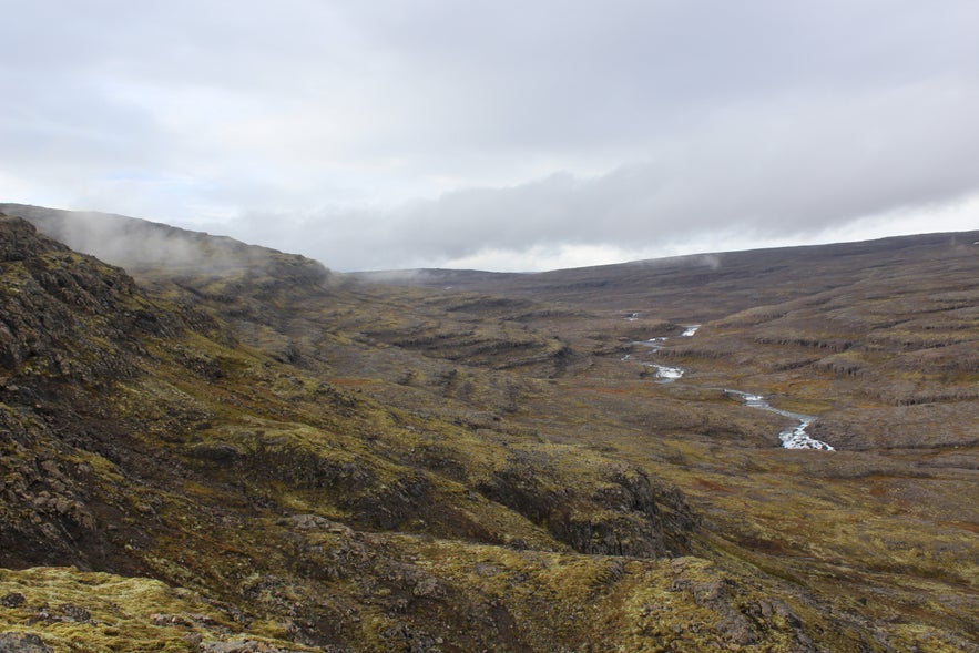 Gathering Sheep in Árneshreppur