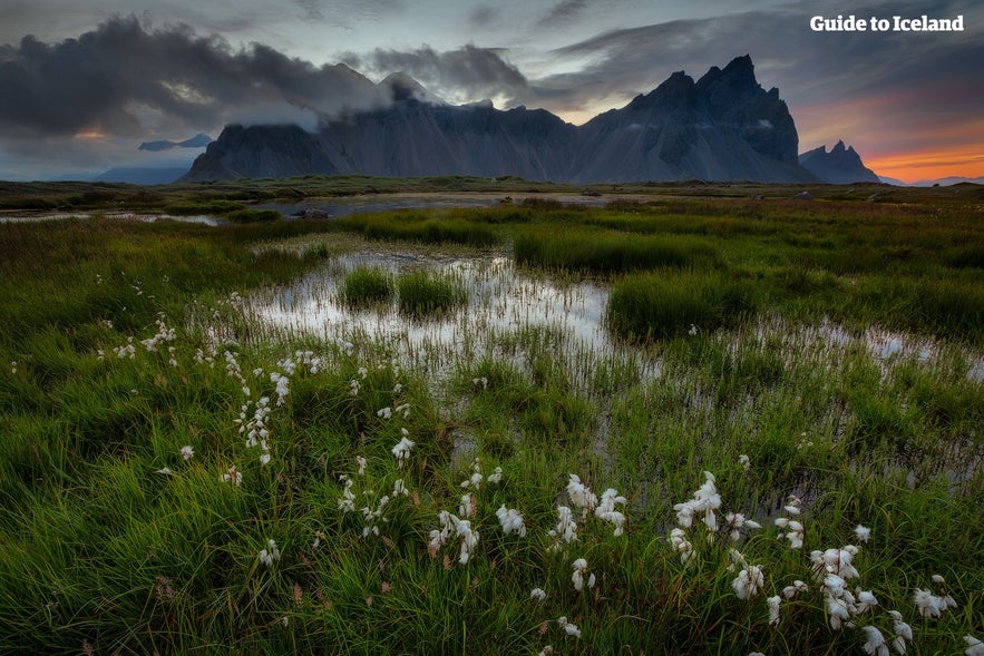 冰岛的山Vestrahorn