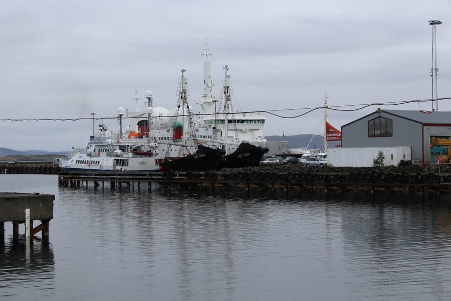 Wondrous Reykjavík Old Harbour