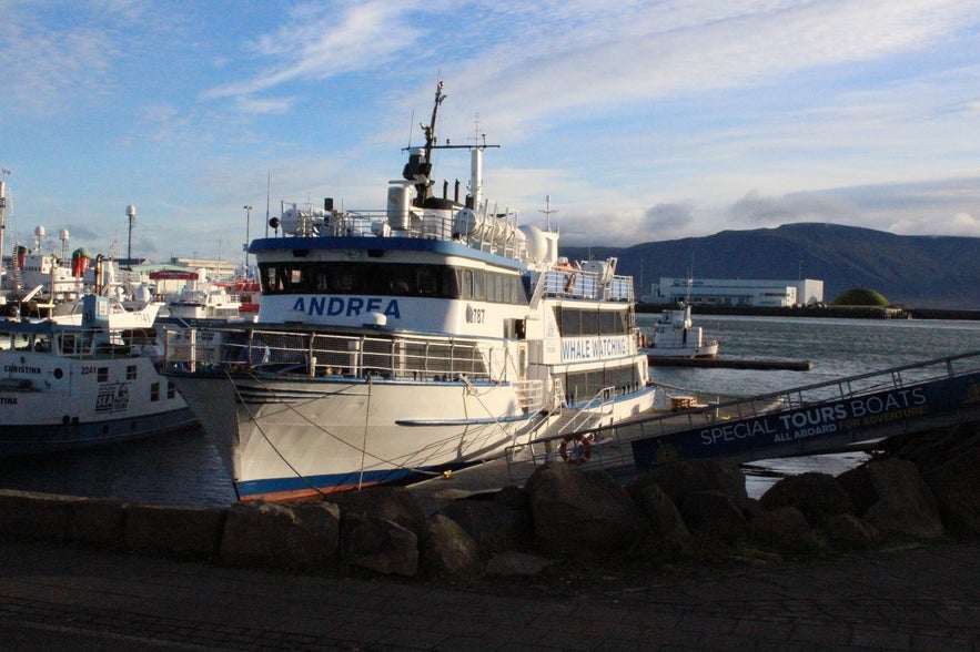 Wondrous Reykjavík Old Harbour