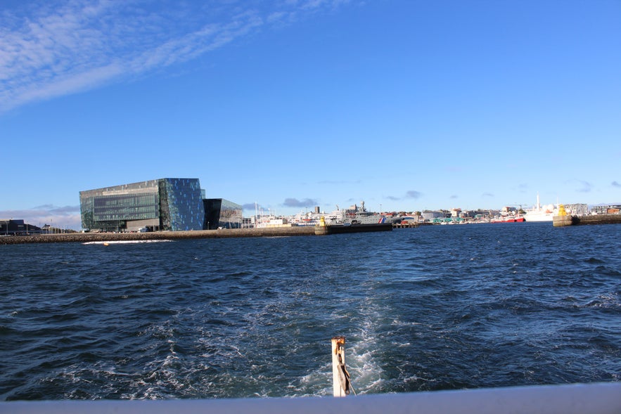 Wondrous Reykjavík Old Harbour