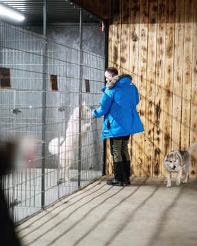 Thrilling 1-Hour Cart Racing Tour with Siberian Huskies Near Reykjavik | Meet-on-Location