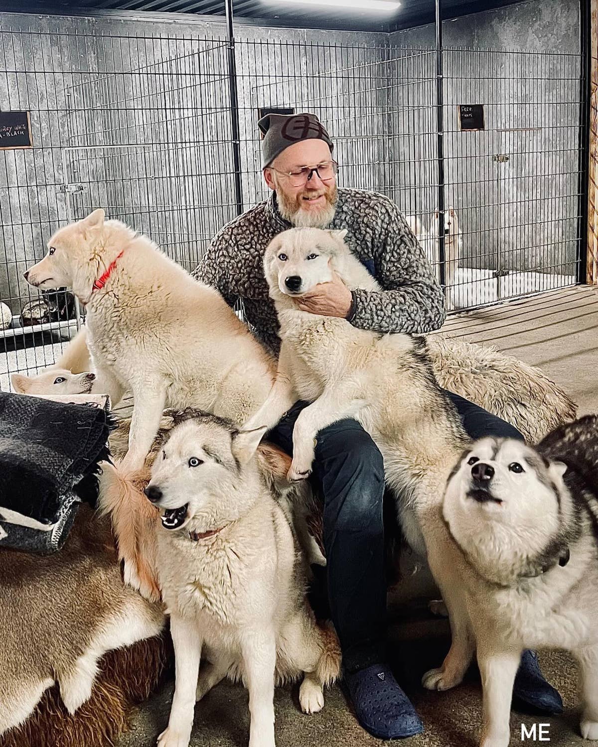 Spannende Karrentocht van 1 Uur met Siberische Husky's vlakbij ...
