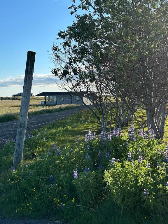 Hestaland Horse Farm Cottage