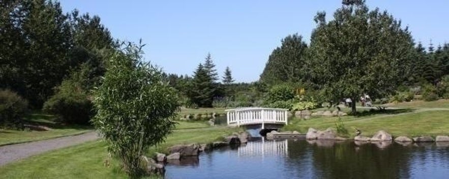 Ogród botaniczny w Reykjaviku