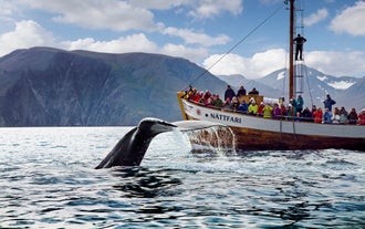 Экскурсия Húsavík Original Whale Watching проводится на традиционной исландской дубовой лодке.
