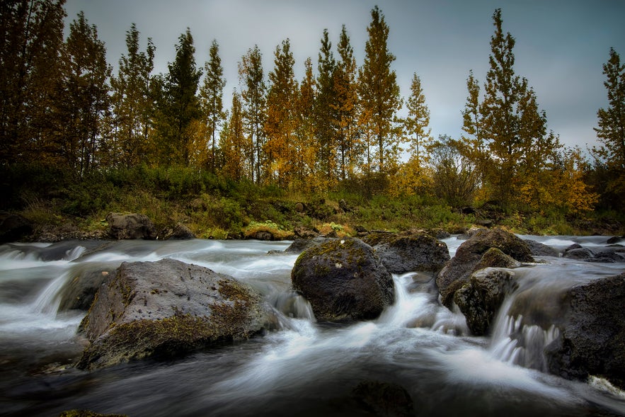 Some of the best landscapes in and around Reykjavik