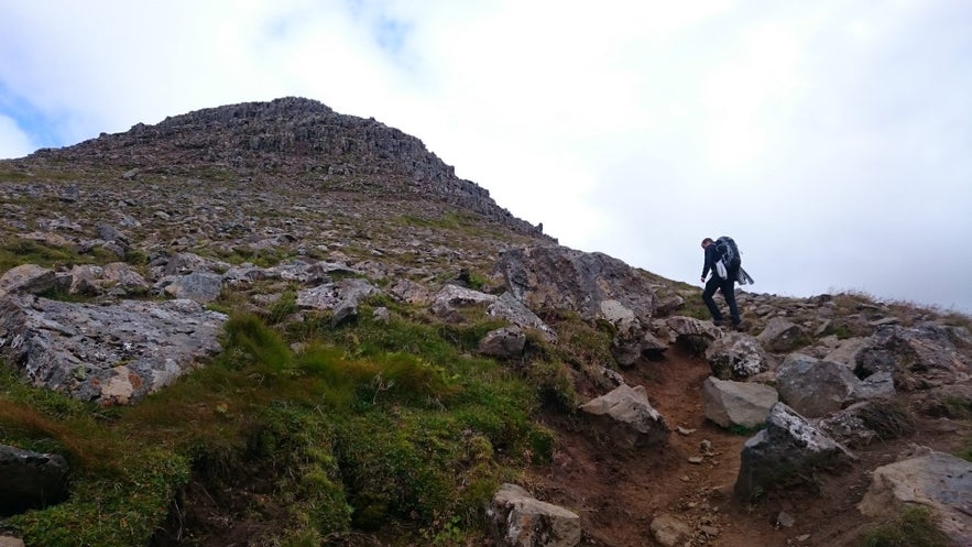 hike - mount esja