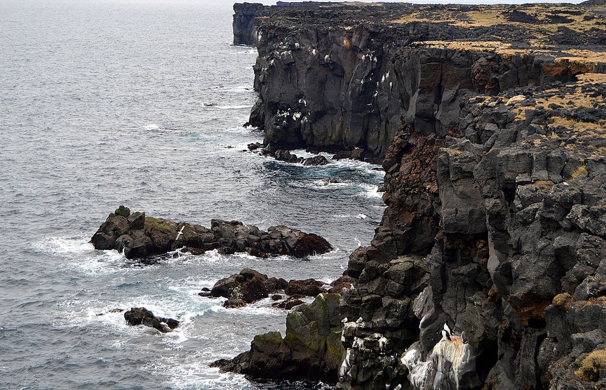 Svörtuloft cliff Snæfellsnes Svörtuloft cliff Snæfellsnes