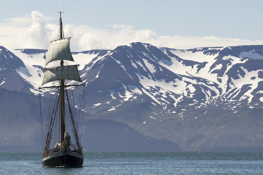 Whale watching with North Sailing schooner in Húsavík