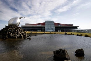 Le Jet Nest est l'une des deux sculptures originales situées devant l'aéroport international de Keflavík en Islande.