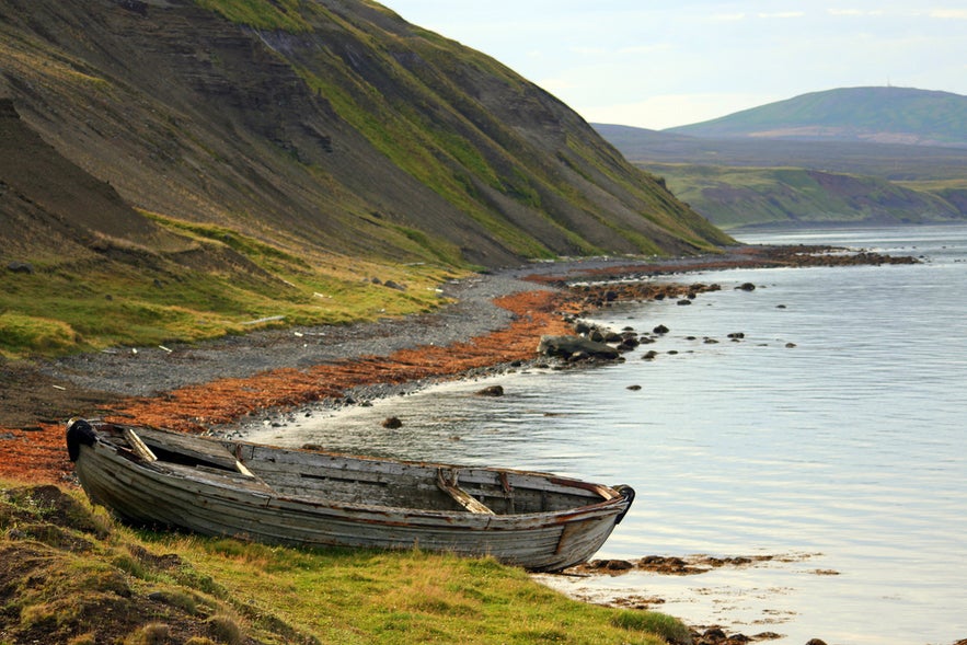 Tungulending fossil beach in north Iceland