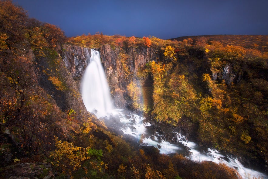 Svartifoss as a Photography Location