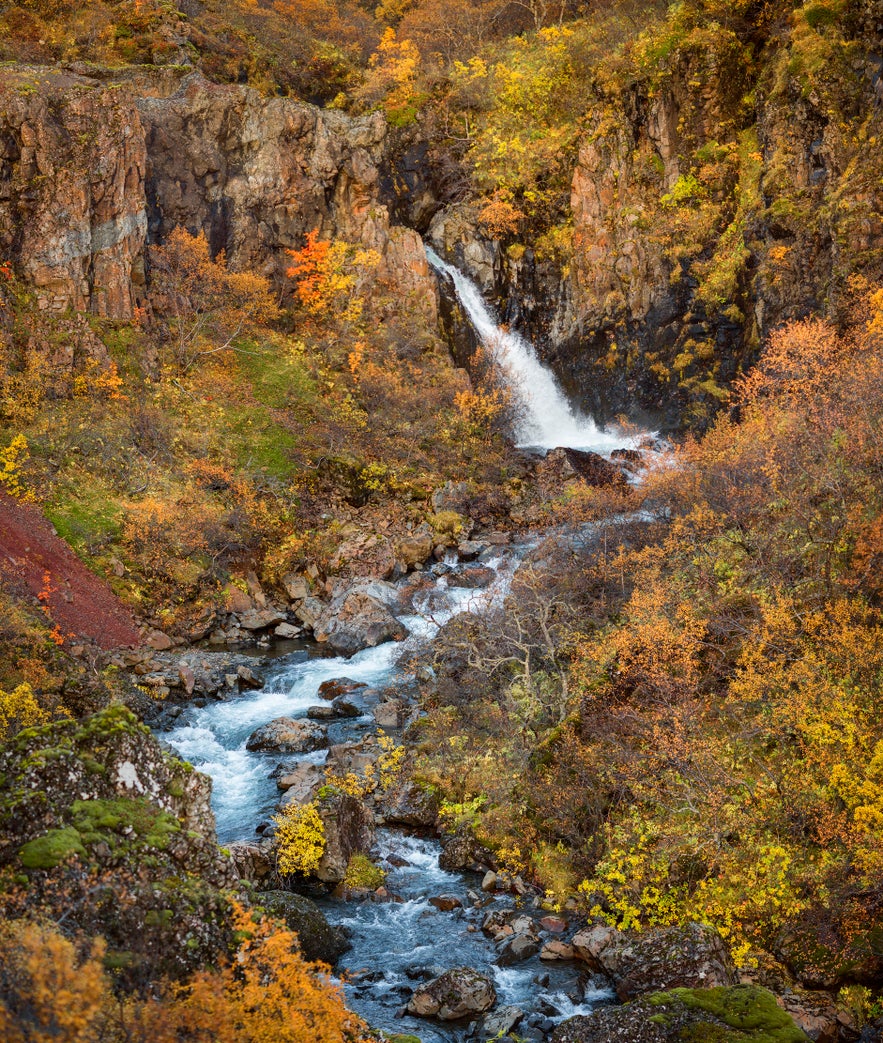 Svartifoss as a Photography Location