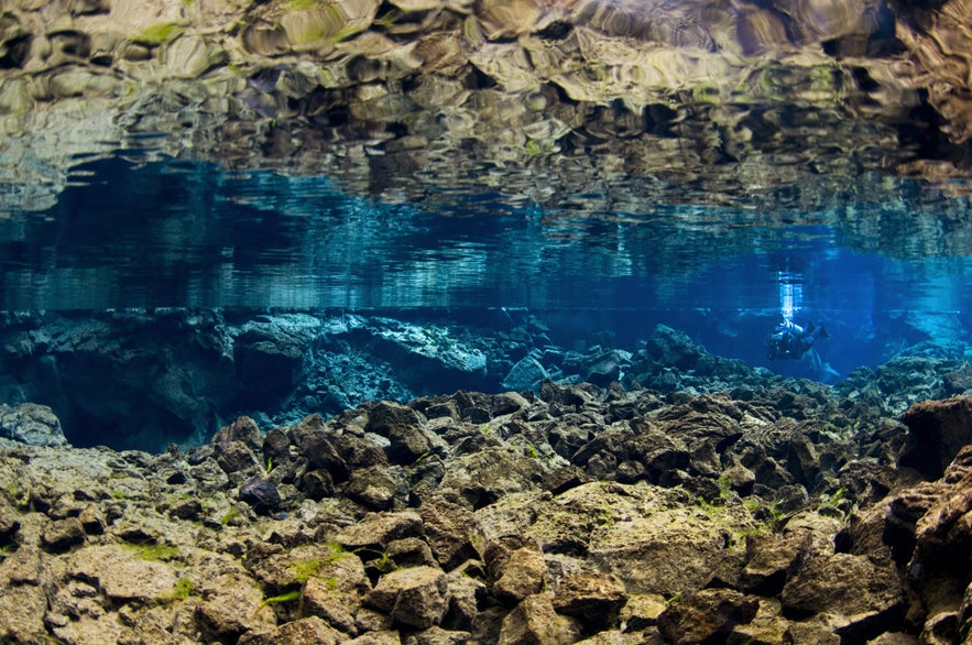 A Silfra, la visibilité sous l'eau peut aller jusqu'à 100 m